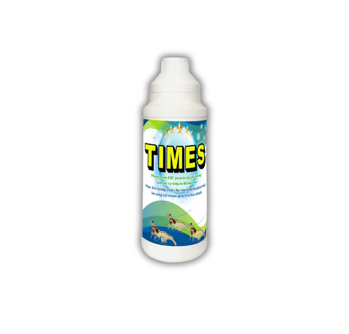 TIMES