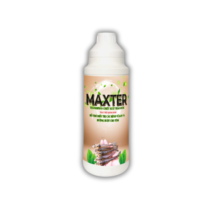 MAXTER